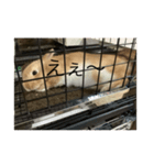 COCO第二弾（個別スタンプ：8）