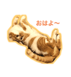 きなきなきなこスタンプ（個別スタンプ：4）