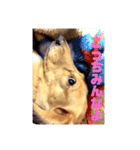 ぴーすけの毎日。（個別スタンプ：4）