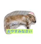 kebin♡（個別スタンプ：2）