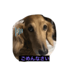 kebin♡（個別スタンプ：4）