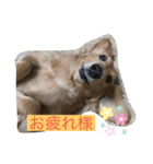 kebin♡（個別スタンプ：5）