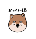ふぁふぁ犬【柴犬編】（個別スタンプ：2）