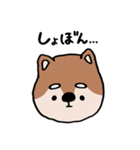 ふぁふぁ犬【柴犬編】（個別スタンプ：10）