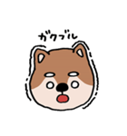 ふぁふぁ犬【柴犬編】（個別スタンプ：11）