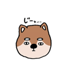 ふぁふぁ犬【柴犬編】（個別スタンプ：13）