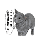 吾輩は猫のおでん（個別スタンプ：6）