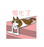 猫のオブザーバー（個別スタンプ：5）