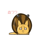 猫のオブザーバー（個別スタンプ：12）