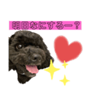 ジョージくん。日常会話（個別スタンプ：1）