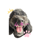 ジョージくん。日常会話（個別スタンプ：2）