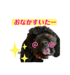 ジョージくん。日常会話（個別スタンプ：4）