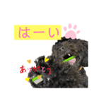 ジョージくん。日常会話（個別スタンプ：7）