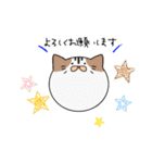 玉猫すたんぷ（個別スタンプ：10）