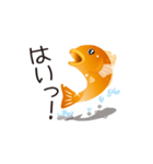 泳ぐ金魚。はねる金魚。（個別スタンプ：24）
