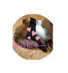 ニャンニャンニャン1（個別スタンプ：4）
