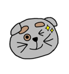 まゆげねこちゃん 顔バージョン（個別スタンプ：12）