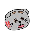 まゆげねこちゃん 顔バージョン（個別スタンプ：19）
