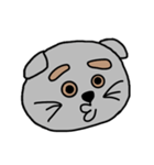 まゆげねこちゃん 顔バージョン（個別スタンプ：21）