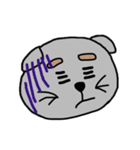 まゆげねこちゃん 顔バージョン（個別スタンプ：24）