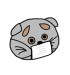 まゆげねこちゃん 顔バージョン（個別スタンプ：27）