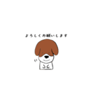 うちの犬 基本セット（個別スタンプ：6）