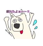 しろ犬さんの日課（個別スタンプ：13）