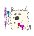 しろ犬さんの日課（個別スタンプ：15）