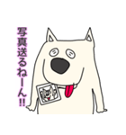 しろ犬さんの日課（個別スタンプ：17）