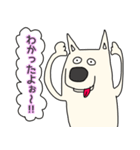 しろ犬さんの日課（個別スタンプ：20）