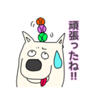 しろ犬さんの日課（個別スタンプ：21）