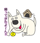 しろ犬さんの日課（個別スタンプ：23）