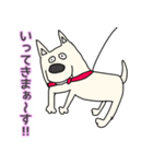 しろ犬さんの日課（個別スタンプ：24）