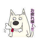 しろ犬さんの日課（個別スタンプ：34）