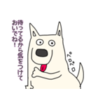 しろ犬さんの日課（個別スタンプ：38）