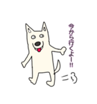 しろ犬さんの日課（個別スタンプ：40）
