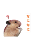 あーさとむぎ（個別スタンプ：4）