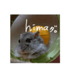 あーさとむぎ（個別スタンプ：5）