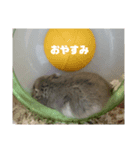 あーさとむぎ（個別スタンプ：8）