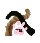 猫 ミクちゃん ハート柄のハチワレ（個別スタンプ：5）