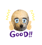 犬 コロくん（個別スタンプ：4）