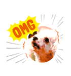 犬 コロくん（個別スタンプ：7）