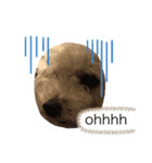 犬 コロくん（個別スタンプ：8）