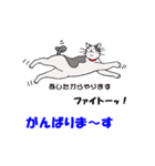 ココな一日（個別スタンプ：10）