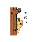 薔薇狸（ポンローズ）（個別スタンプ：5）