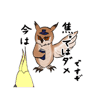 フクロウ神父（個別スタンプ：40）