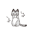 わたし用のねここ（個別スタンプ：2）