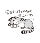 わたし用のねここ（個別スタンプ：13）