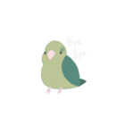 緑のマメルリハ（個別スタンプ：2）