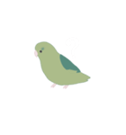 緑のマメルリハ（個別スタンプ：3）